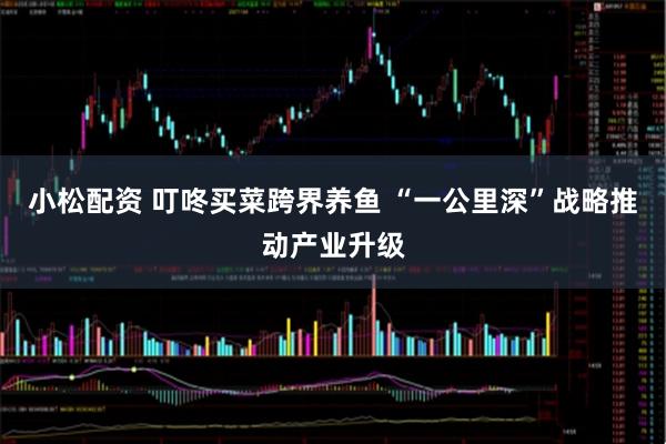 小松配资 叮咚买菜跨界养鱼 “一公里深”战略推动产业升级