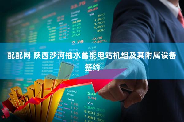 配配网 陕西沙河抽水蓄能电站机组及其附属设备签约