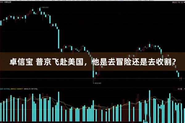 卓信宝 普京飞赴美国，他是去冒险还是去收割？